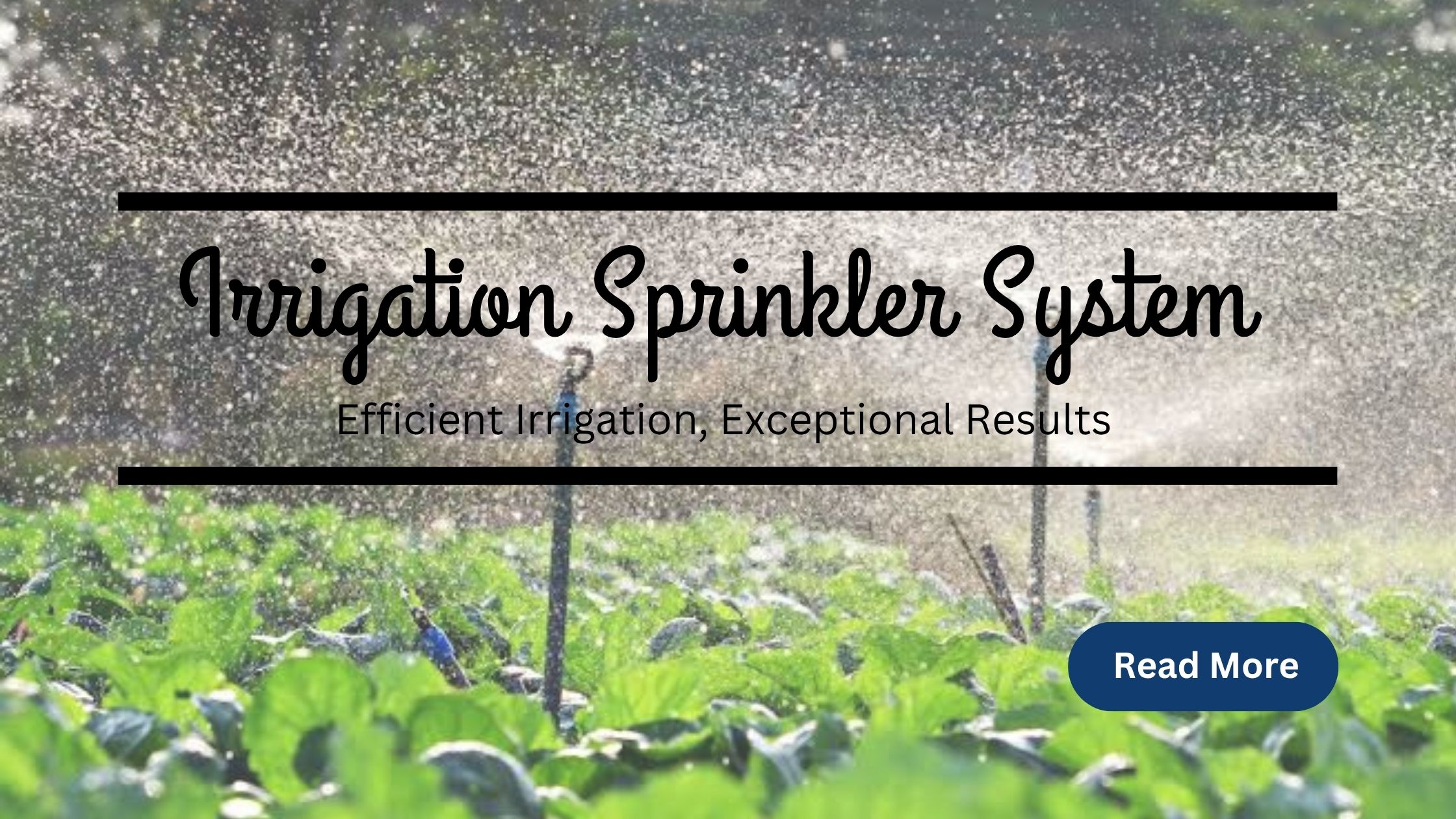 irrigation sprinkler system